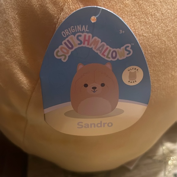 Sandro the Chow Squishmallow Ultra Rare- NWT - Picture 2 of 5